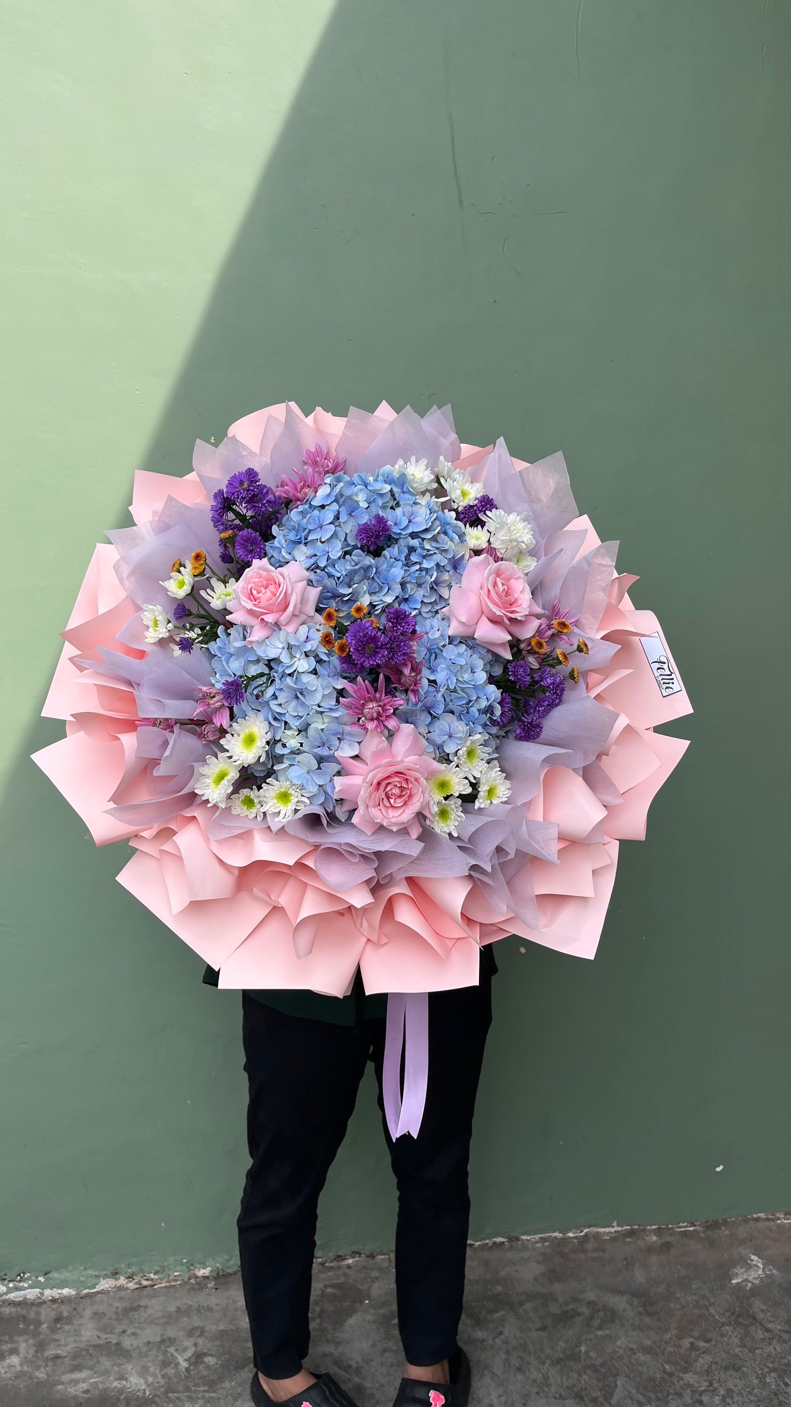 Aurora Hydrangea