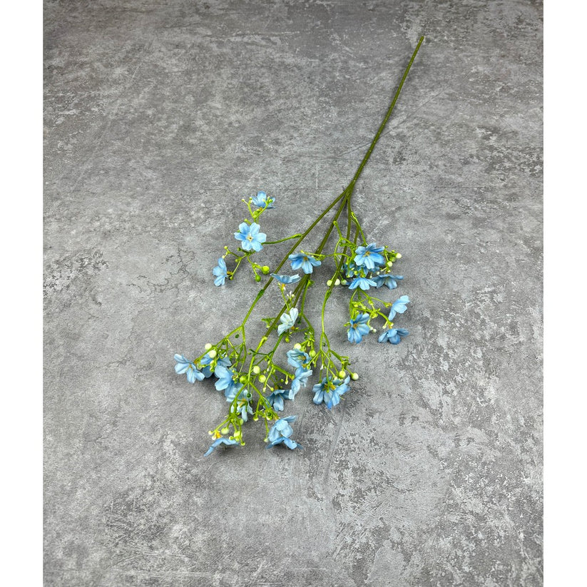 C49 DAPHINE BIRU