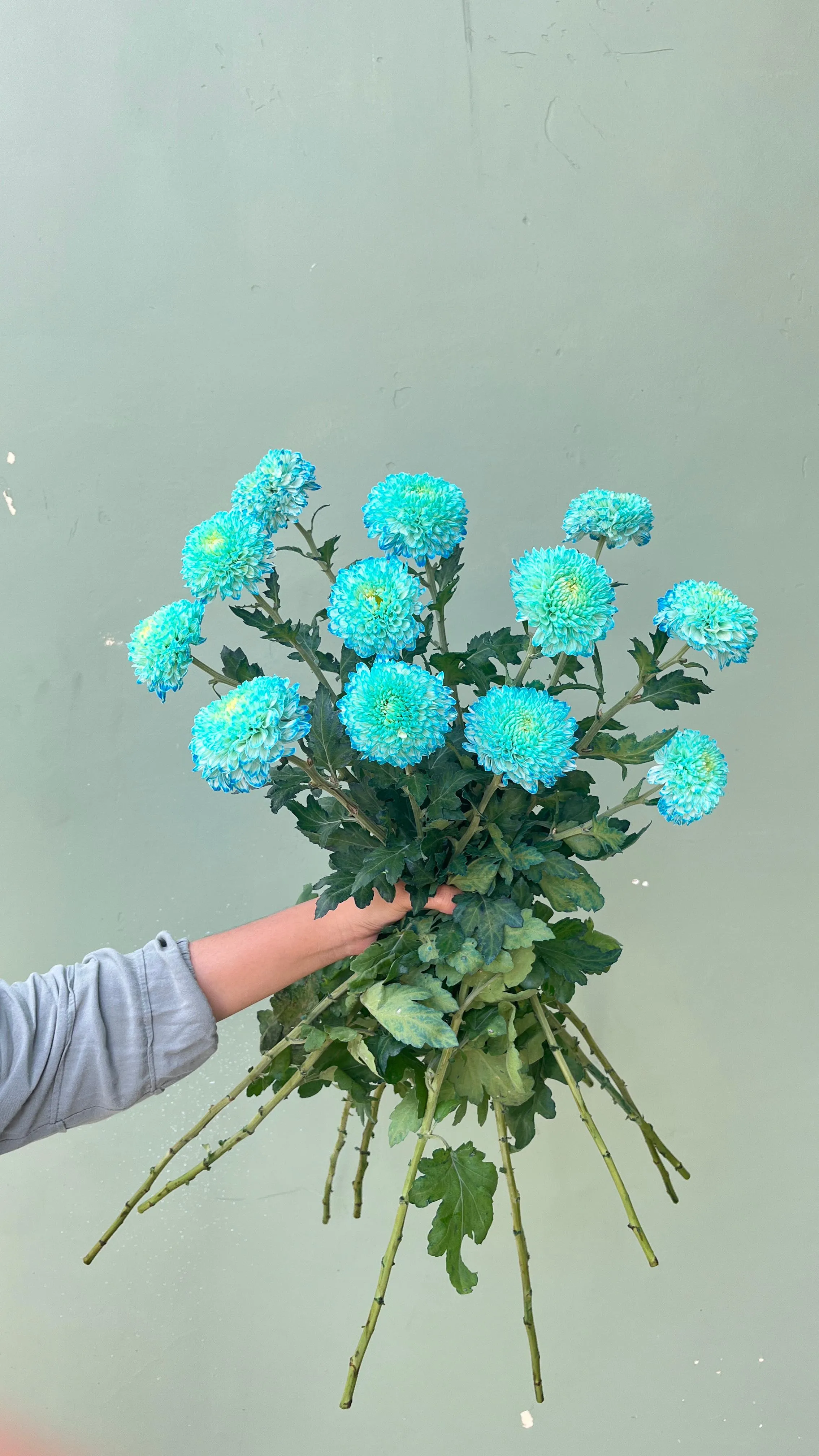 Gompie Dyed PT - Biru