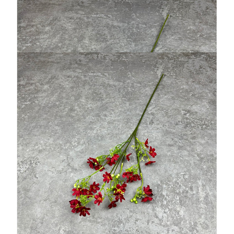 C49 DAPHINE MERAH