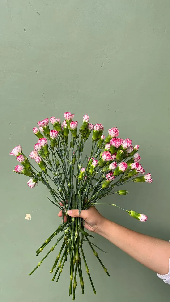 Carnation Spray China