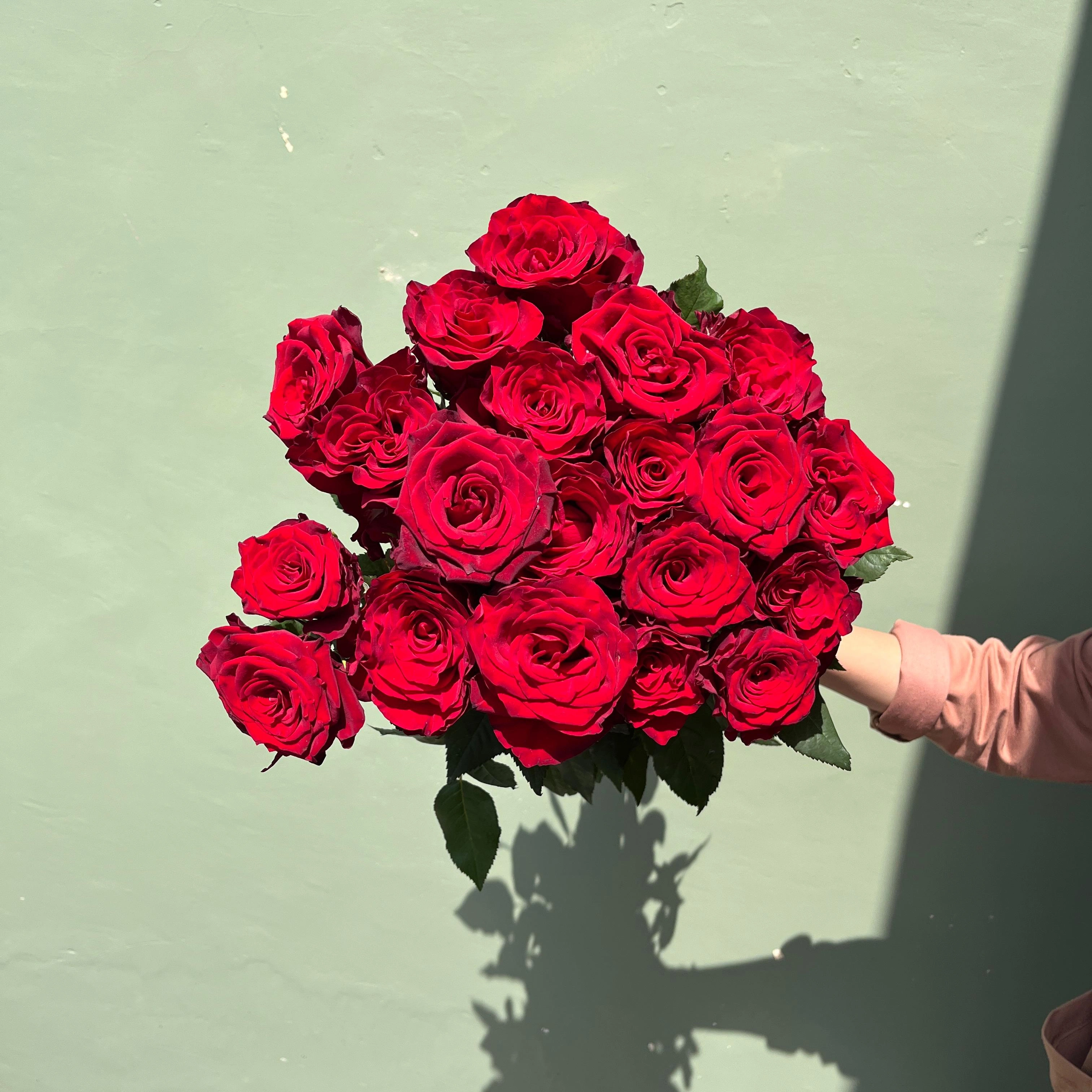 Mawar Merah Hollan Grade A