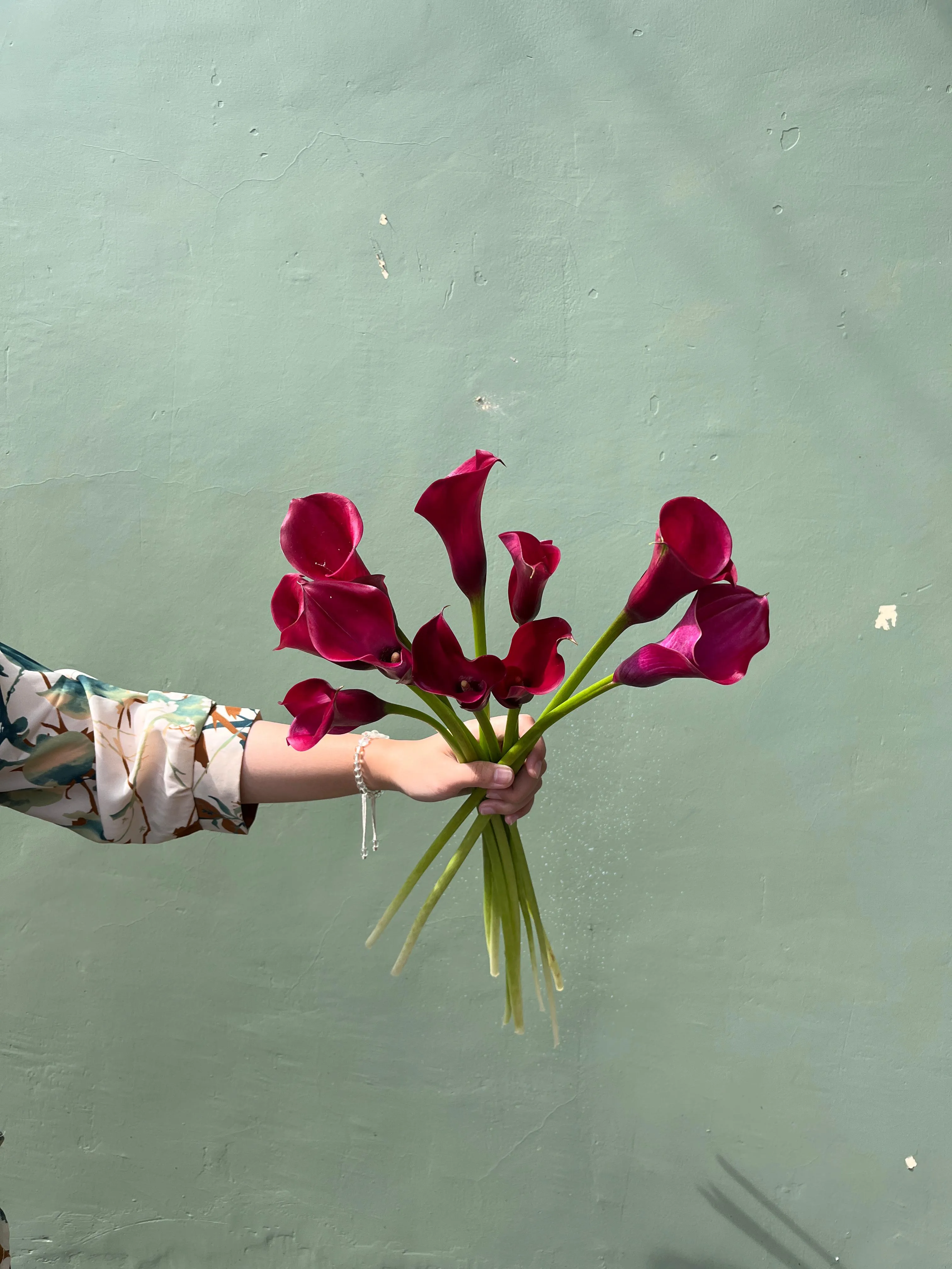 Calla Lili Escape (Black), Red Salsa (Red)