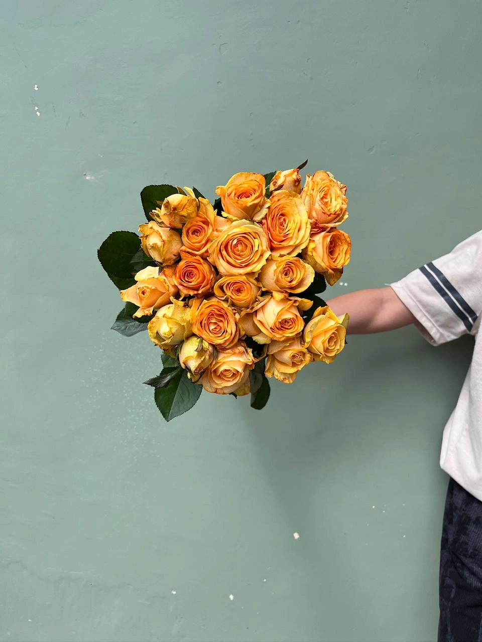 Mawar Orange Hollan Grade A