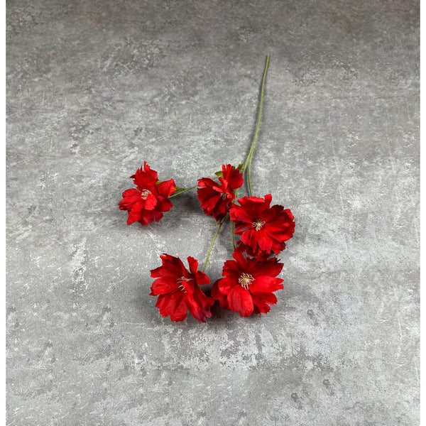 C88 RANUNCULUS BUTTERFLY MERAH