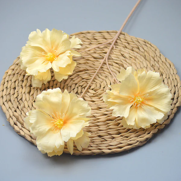 C16 CABANG 3 RANUNCULUS BUTTERFLY CREAM