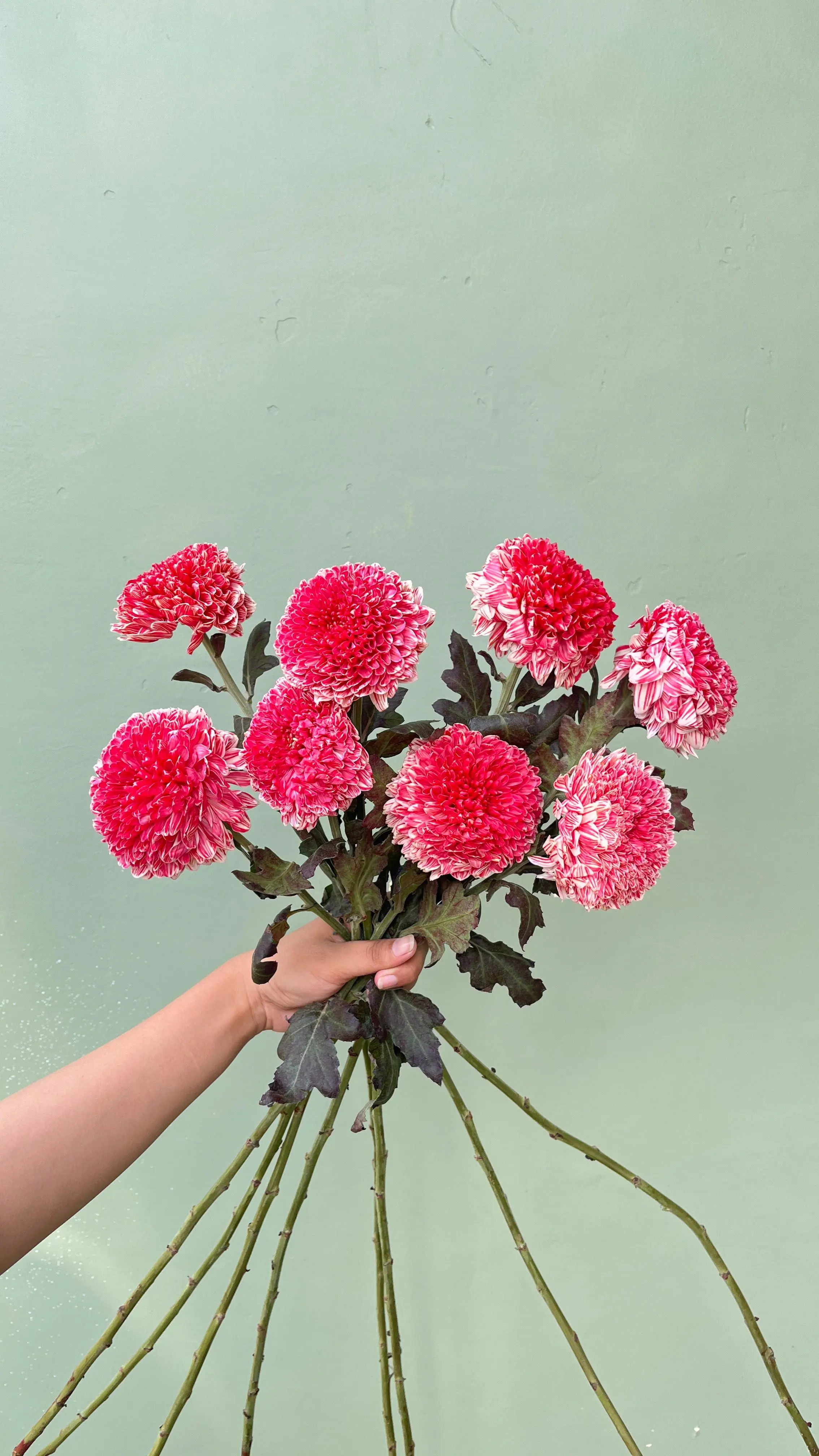 Gompie Dyed PT - Merah