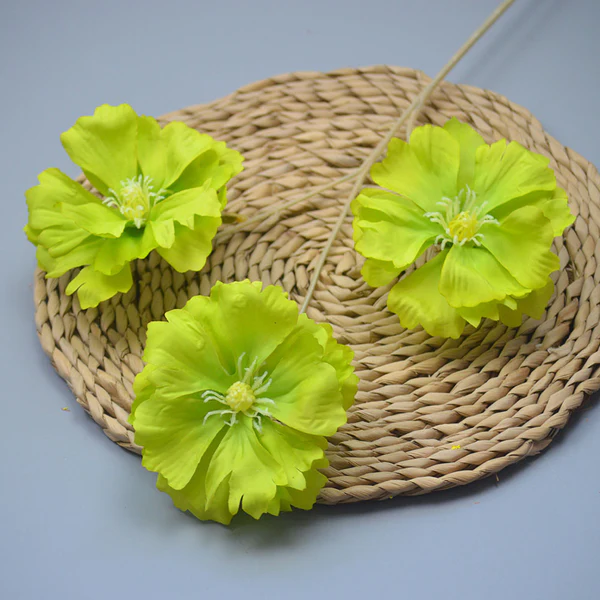 C16 CABANG 3 RANUNCULUS BUTTERFLY HIJAU