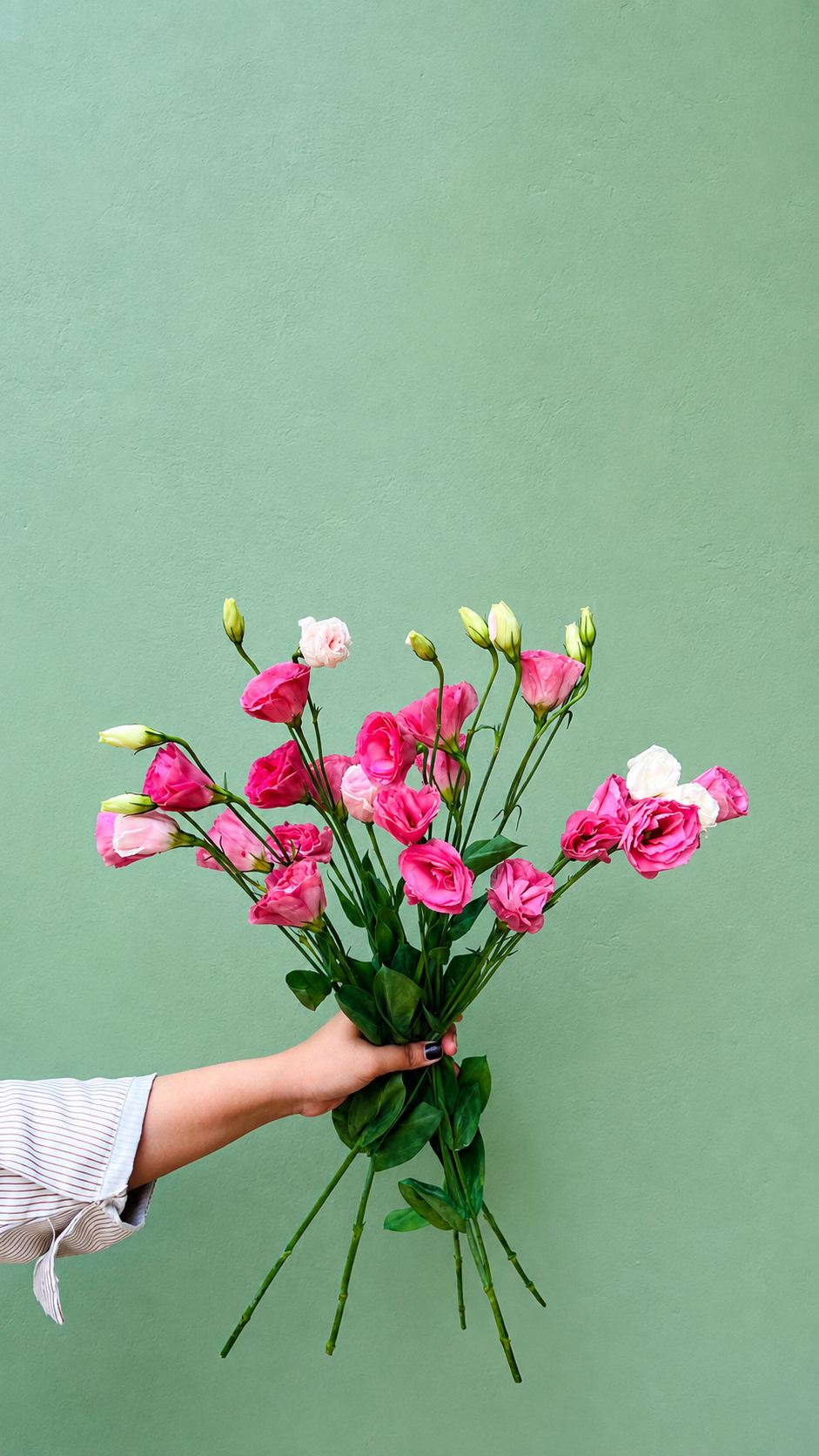 Lisianthus  Rosita Pink RF